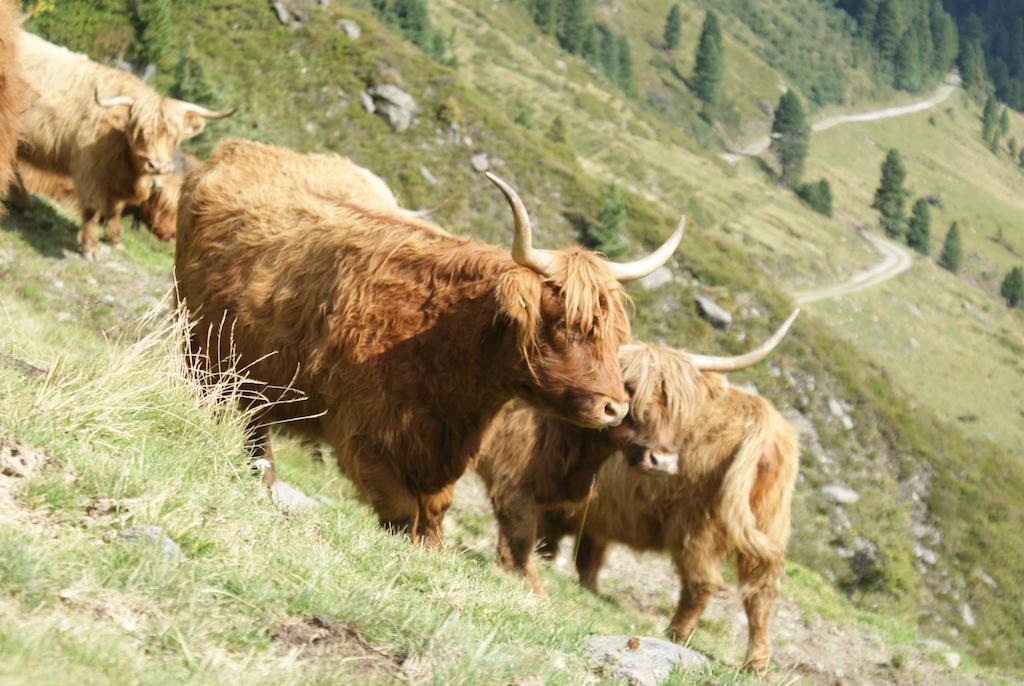 Kraftquelle Herrnmuhle Bramberg am Wildkogel Dış mekan fotoğraf