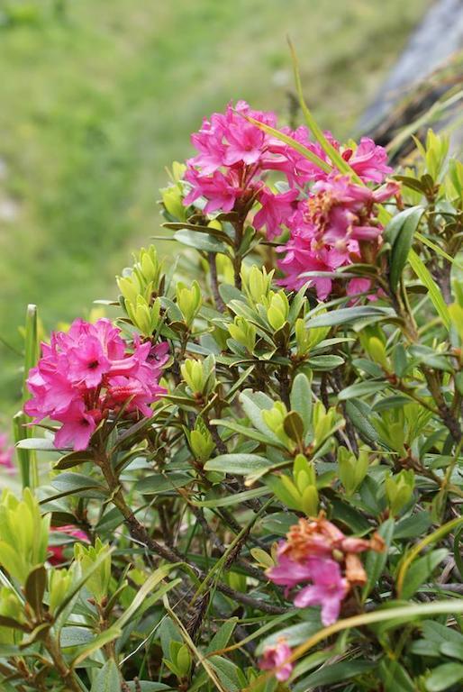 Kraftquelle Herrnmuhle Bramberg am Wildkogel Dış mekan fotoğraf